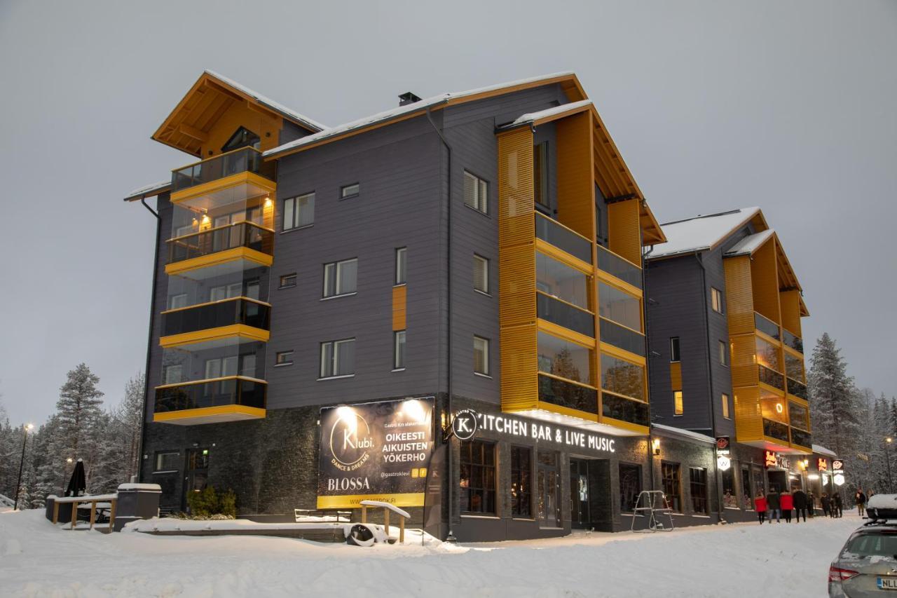 Levin Kunkku B2 Apartment Grey Esterno foto